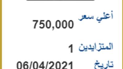 اليوم . . نهاية المزاد على لوحة (ب 3) بقيمة 750 ألف جنيه