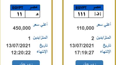 "هـ 11 " بسعر 450 ألف جنيه في المزاد