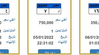 بسعر 750 ألف جنيه ..لوحة "ر 7" في المزاد 