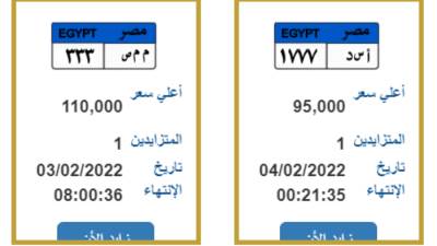 "أ س د" و"س ب ع " متاحين للمزاد في مصر